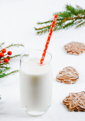 Milk and Christmas cookies for Santa. Christmas background. gingerbread cookies