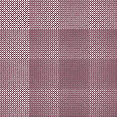 Albert-Laszlo Barabasi algorithm network visualization implementation illustration