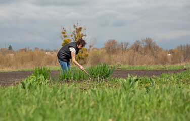 Woman working in the garden in spring