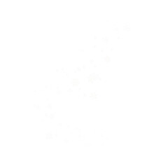 Snow background, a scattering of white snowflakes on a transparent background. PNG