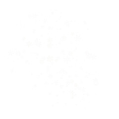 Snow background, a scattering of white snowflakes on a transparent background. PNG