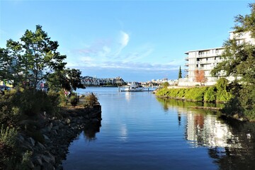 Obraz premium Reflex