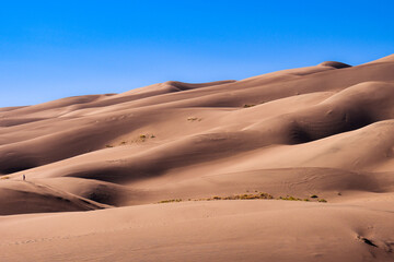 Fototapeta na wymiar Great Sand Dunes National Park 