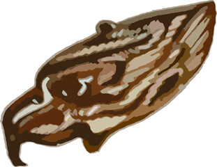 Decorative eagle head in the form of butterfly wing in brown tonality. Chocolate predator head for fashion trends, holidays and events, emblems, business concepts, prints, fabric products, etc. Vector