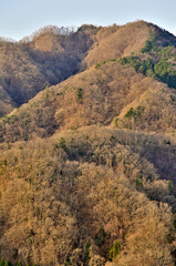 道志山塊の鶴島御前山のハサミ岩より朝日の高柄山
