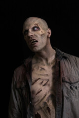 Rotting Male Zombie 3