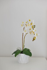 flor decorativa para quarto lar primavera florida 