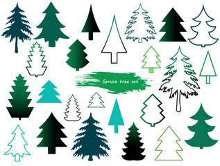 Vector set of different coniferous trees. - 554125858