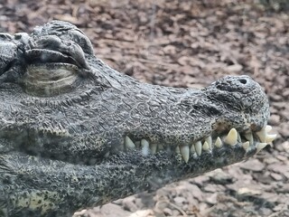 Travel, fly, happy, amazing, nature, photo, style, travel, follow, photographer, beauty, photoshoot, vacation, portrait, lifestyle, travelphotography