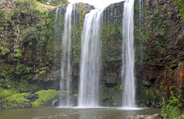 Fototapeta na wymiar Whangarei Falls - New Zealand