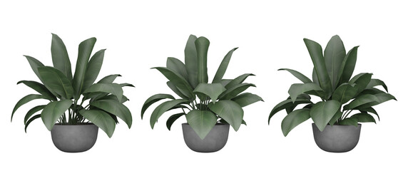 Fototapeta na wymiar Set of Isolated plants