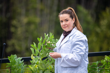 woman scientist taking soil samples and plant samples from a field