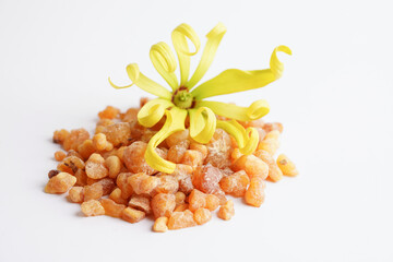 Frankincense or olibanum aromatic resin isolated on white background used in incense and perfumes.