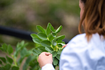 woman scientist taking soil samples and plant samples from a field