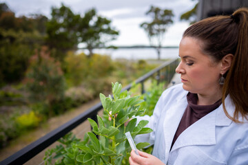 female farmer scientist researching plants and agricultural research