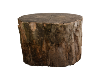 Empty tree trunk to display products. Isolated on transparent background.