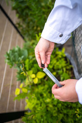 female scientist studying agricultural research. woman farmer breeding grass and plants in a lab coat. collecting soil smaples test tube