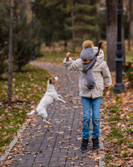 Fototapeta premium Caucasian girl playing with a dog for a walk in the autumn park. 
