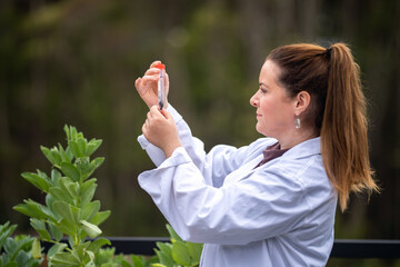 woman scientist taking soil samples and plant samples from a field