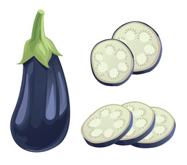 Aubergine or eggplant cut in pieces. Vector ingredients for salad.