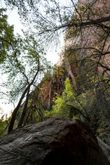 Obraz premium Various colors, textures, scenery and rock formations among the Zion National Park landscapes in the American southwest in the state of Utah.