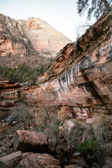 Fototapeta na wymiar Various colors, textures, scenery and rock formations among the Zion National Park landscapes in the American southwest in the state of Utah.