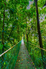 Naklejka premium Suspended bridge at natural rainforest park, Costa Rica