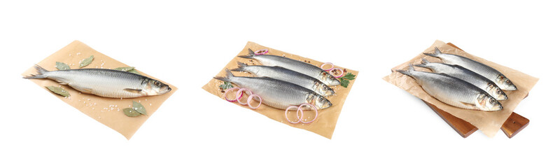 Set with tasty salted herrings on white background. Banner design