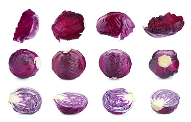 Set with fresh ripe red cabbage on white background