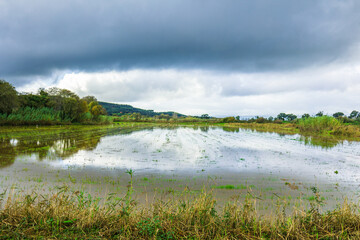 Flooded rice fields in the countryside of Ribatejo - Portugal