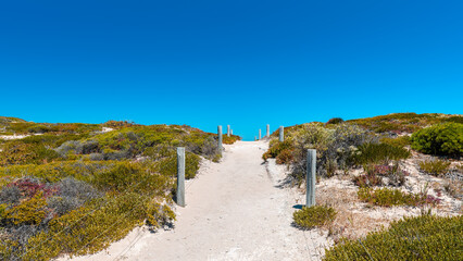 Pathway to the beach at Inneston on a bright day, Yorke Peninsula, South Australia