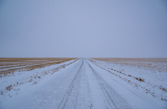 Vanishing point - snowy road through prairie fields, meeting a white, cloudy sky. Southern Alberta, Canada.