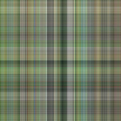 Mineral tartan seamless pattern. Traditional gingham texture for natural geological wallpaper. Illustration of checkered kitchen cloth. 