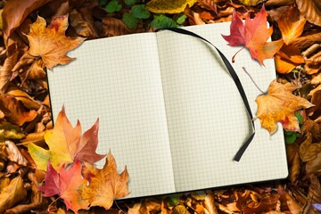 Blank white paper on autumn background