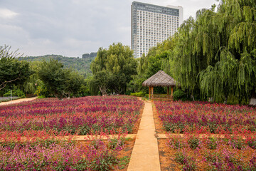 A beautiful alley in the Park with exotic plants. The national Park of China