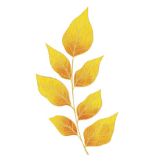 Abstract yellow bunch of leaves illustration for decoration on garden and autumn season.