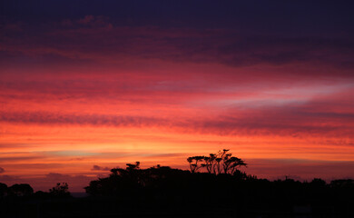 Fototapeta premium Colorful Sunset