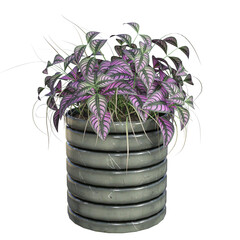 houseplant in the potted 3d illustrations
