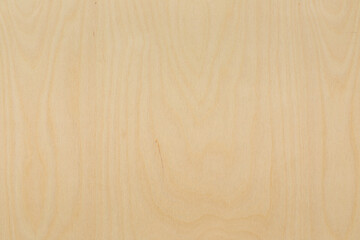 Texture of wood. Wood texture background