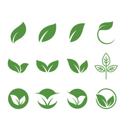 eco leaf set element vector design template