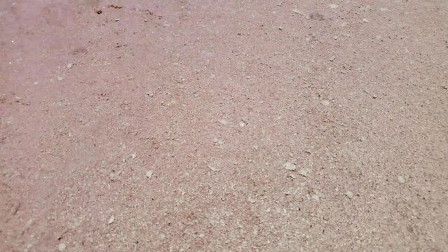 Pink salt lagoon in caribbean island, bright water reflection, tilit down, los roques