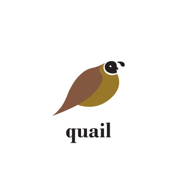 quail logo design