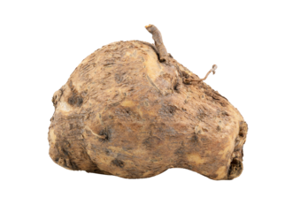 Stephania pierrei Diels thailand herbswith leaf on transparent png