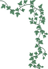 Fototapeta premium Simplicity ivy freehand drawing