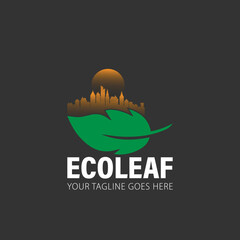 Eco leaf design logo vector image
