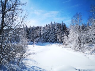 Obraz premium winter landscape in Canada