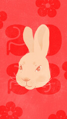 Chinese new year zodiac year of rabbit 2023