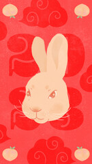 Chinese new year zodiac year of rabbit 2023