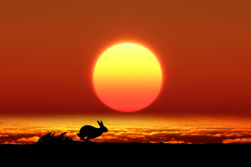 日の出とウサギ