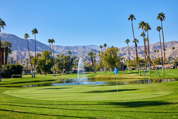 Golf course with mountains and palm trees in southern  California on a sunny day - obrazy, fototapety, plakaty